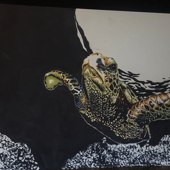 Hand Drawn Sea Turle - Picture 1 of 1